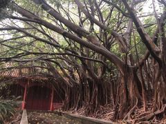 -南沙天后宫景区