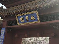 -桃花堤公园