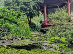 -杭州少年儿童公园