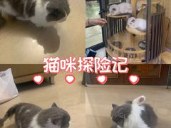 -悠尼宠物·独立低压伊珊娜洗护·美容·寄养(兰谷路店)