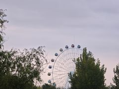 -西安浐灞国家湿地公园