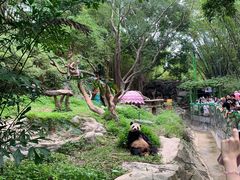 -茶理宜世(东方宝泰店)