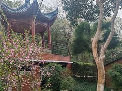 -赭山公园