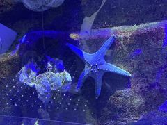 -香港海洋公园