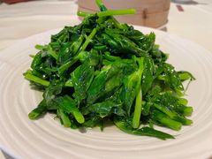 豌豆尖-利苑酒家(金宝店)