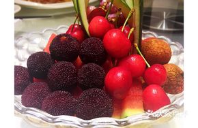 Blossoming Fruits