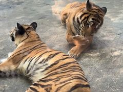 -南昌动物园