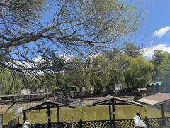 -尚庄度假村·庭台树下·户外烧烤·团建CS·轰趴营地(上庄水库店)