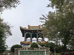 -龙沙公园