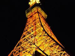 -东京塔海贼王主题公园
