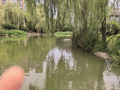 -木塔寺遗址生态公园