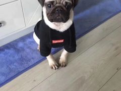 -楚湘苑(商品街大道店)