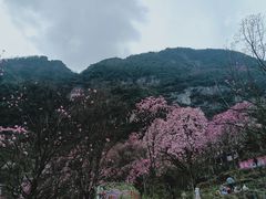 -九皇山景区