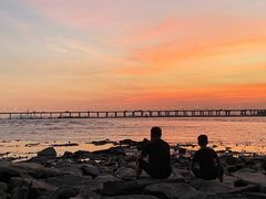 -宝安西湾红树林湿地公园