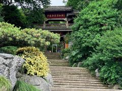 -中国茶叶博物馆(双峰馆区)