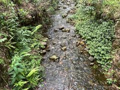 -黄公望隐居地