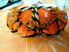 -乡乐园蟹庄·阳澄湖农家乐