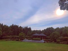 -西郊宾馆-地面停车场