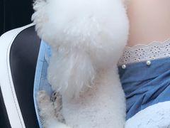 -美迦爱-牙专科·兔科·骨科诊疗中心(北苑店)