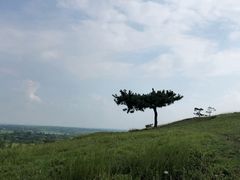 -恋山坝上草原