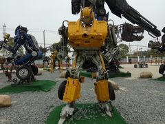 -上海长兴岛郊野公园