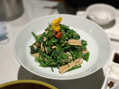 橄榄油鲜腐竹拌丝瓜尖-北平楼·烤鸭·北京菜(牡丹园店)