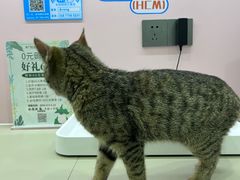 -阿荣24H宠物医院·综合型转诊中心·CT·核磁影像中心