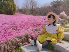 -棒棰岛宾馆景区