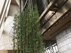 -上海柏悦酒店·世纪100牛排馆