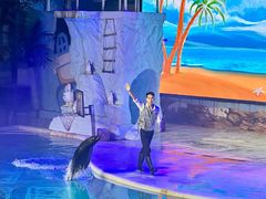 -三亚海昌梦幻海洋不夜城