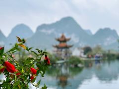 -靖西鹅泉风景区