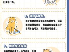 -北京观赏动物医院·24小时大型综合·猫专科·异宠专科