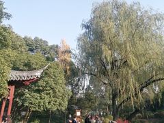 -秋霞圃