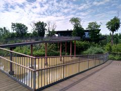 -白鹭湾湿地公园