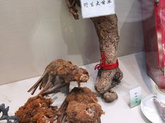 -广东中医药博物馆