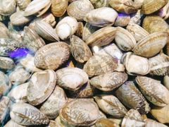 -四海蒸鲜蒸汽海鲜自助(北戴河店)