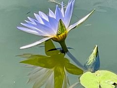 -国家植物园南园