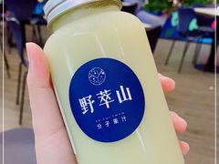 -野萃山·潮汕厚果汁(十亩地店)