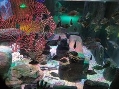 -沈阳海洋探索中心