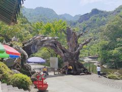 -龙湾潭国家森林公园