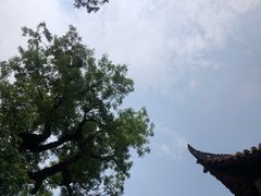 -金堂县云顶石城风景区