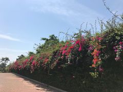-厦门帝元维多利亚大酒店(环岛路黄厝海滩店)
