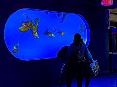 -太平洋海底世界