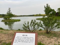 -东郊湿地公园