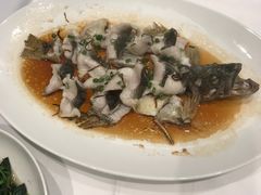 -海都六福酒家(世博广场店)