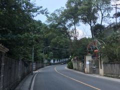 -南山植物园