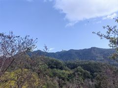 -深圳仙湖植物园