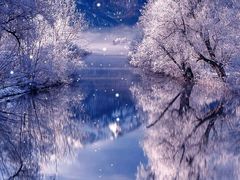 -山山家·新鲜烘焙(孝顺店)