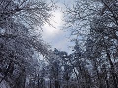 -溪口商量岗景区