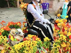 -大连海昌发现王国主题公园